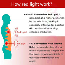 將圖片載入圖庫檢視器 VOCA - VC Red Light Multifunctional Therapy Belt | Waist Belt, Hand Belt, Shoulder and Neck Belt | Stimulates Blood Circulation | Relieves Hair Loss | Promotes Cell Regeneration | Boosts Metabolism | Relieves Pain | Weight Loss | 660nm 850nm | 120 LEDs
