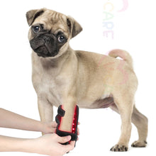 將圖片載入圖庫檢視器 VOCA - VC Red Light/Near-Infrared Pet Therapy Belt | Pet-Specific | Stimulates Blood Circulation | Relieves Pet Leg Pain | 34 LEDs Near-Infrared Lamp