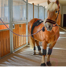 將圖片載入圖庫檢視器 VOCA - VC Red Light Multifunctional Therapy Belt | Waist Belt, Hand Belt, Shoulder and Neck Belt | Stimulates Blood Circulation | Relieves Hair Loss | Promotes Cell Regeneration | Boosts Metabolism | Relieves Pain | Weight Loss | 660nm 850nm | 120 LEDs